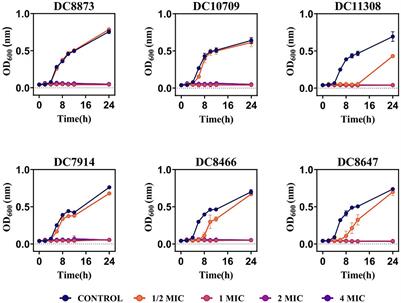 PAM-1: an antimicrobial peptide with promise against ceftazidime-avibactam resistant Escherichia coli infection